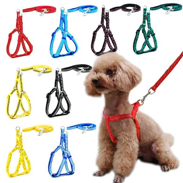 dog collars & leashes cat harness leash adjustable vest collar puppy small outdoor walking chihuahua yorkshire terier schnauzer
dog collars & leashes cat harness leash adjustable vest collar puppy small outdoor walking chihuahua yorkshire terier schnauzer