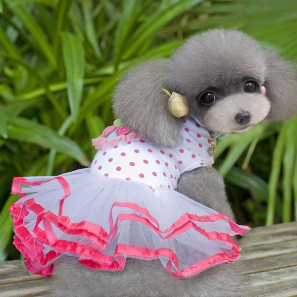 pet puppy dog dot short princess skirt cherry pattern dog party dresses chihuahua wedding dress
pet puppy dog dot short princess skirt cherry pattern dog party dresses chihuahua wedding dress