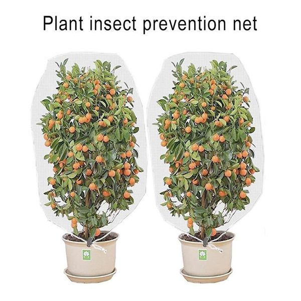 planters & pots drawstring plant protection cover protective equipment fruit tree anti-birds insect anti-frost net for agricultural hortic
planters & pots drawstring plant protection cover protective equipment fruit tree anti-birds insect anti-frost net for agricultural hortic