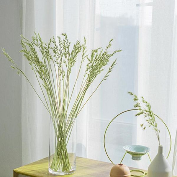 decorative flowers & wreaths 50pcs/set natural oatmeal flower bouquet for wedding party decoration dried plant diy garden home table decor 2
decorative flowers & wreaths 50pcs/set natural oatmeal flower bouquet for wedding party decoration dried plant diy garden home table decor 2