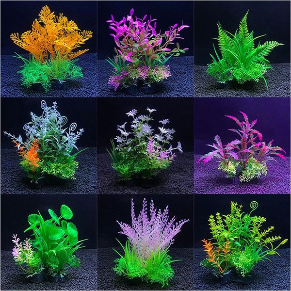 decorations 12 kinds artificial aquarium decor plants water ornament aquatic plant fish tank grass decoration accessories 14cm
decorations 12 kinds artificial aquarium decor plants water ornament aquatic plant fish tank grass decoration accessories 14cm