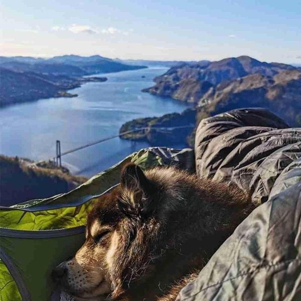 tents and shelters ultralight outdoor hammock with anti mosquito net detachable backyard tent 1-2 person hiking travel camping s3r3
tents and shelters ultralight outdoor hammock with anti mosquito net detachable backyard tent 1-2 person hiking travel camping s3r3