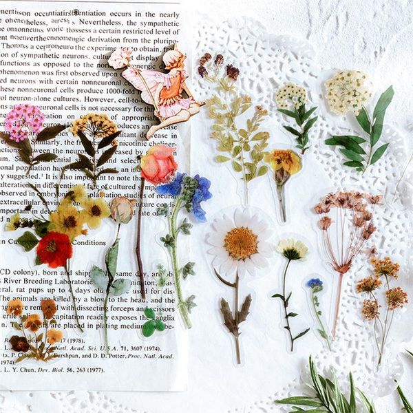 40pcs / bag jenny's time plant series diy scrapbooking phone journal week diary happy planner decoration sticker
40pcs / bag jenny's time plant series diy scrapbooking phone journal week diary happy planner decoration sticker