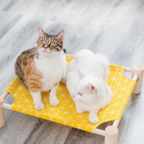 cat beds & furniture detachable hammock bed elevated dogs puppy lazy mat cushion lounger for cats kitten cottages pet sleeping supplies
cat beds & furniture detachable hammock bed elevated dogs puppy lazy mat cushion lounger for cats kitten cottages pet sleeping supplies