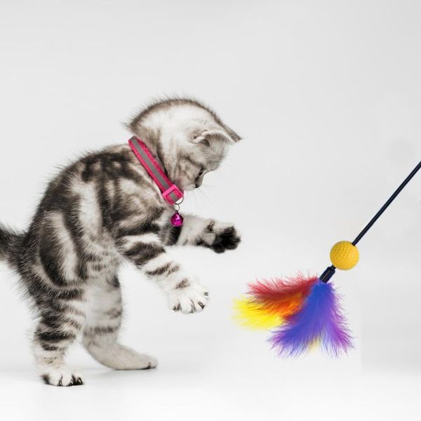 cat toys 4pcs teaser kitten long rod feather rustling ball stick wand toy random color puppy pet dogs chew molar
cat toys 4pcs teaser kitten long rod feather rustling ball stick wand toy random color puppy pet dogs chew molar