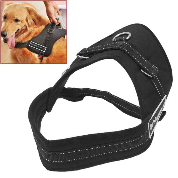 dog collars & leashes adjustable safety auto car seat belt walking large pet dogs nylon harness chest set supplies products size s m l red/b
dog collars & leashes adjustable safety auto car seat belt walking large pet dogs nylon harness chest set supplies products size s m l red/b