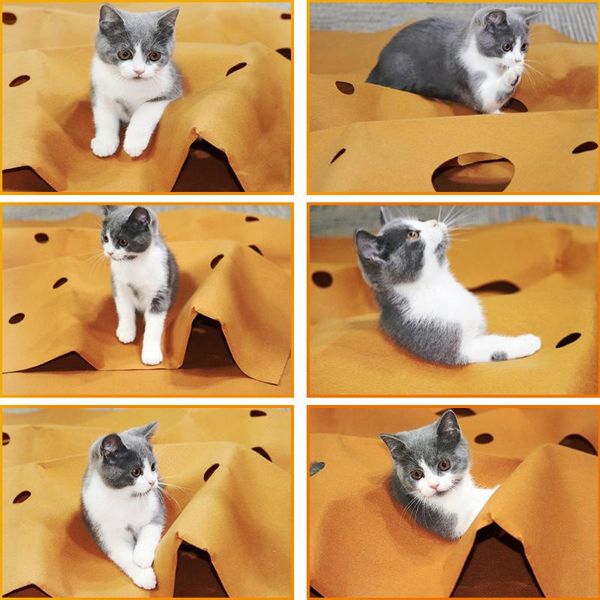 cat beds & furniture playing mat training pet activity play mats collapsible pets rug scratch resistant toys bite pad
cat beds & furniture playing mat training pet activity play mats collapsible pets rug scratch resistant toys bite pad