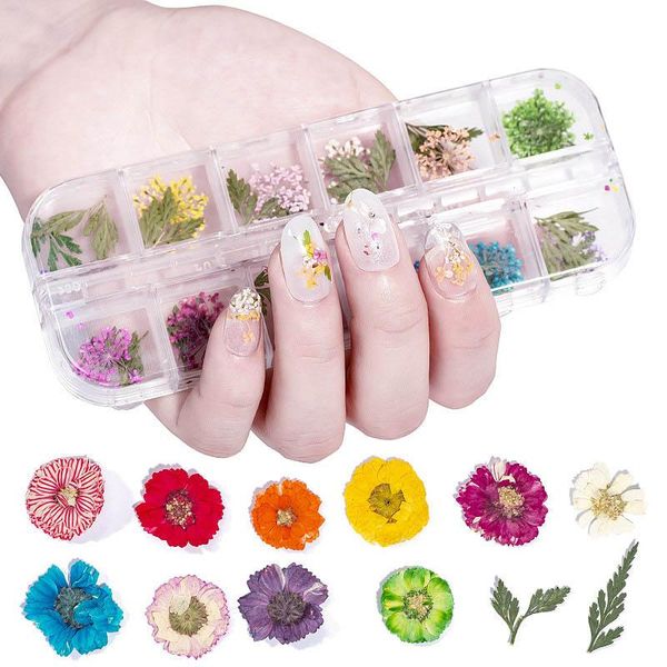 decorative flowers & wreaths 3d natural daisy gypsophila 12 grid nail art decorations diy stickers dried manicure accessories beauty tools
decorative flowers & wreaths 3d natural daisy gypsophila 12 grid nail art decorations diy stickers dried manicure accessories beauty tools