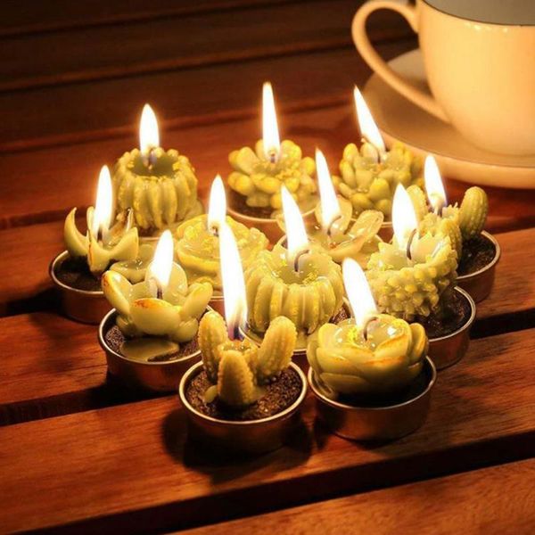 candles creative 3d cactus simulated plants smokeless scented valentine day gift party ornament home decoration 1pc fruit
candles creative 3d cactus simulated plants smokeless scented valentine day gift party ornament home decoration 1pc fruit
