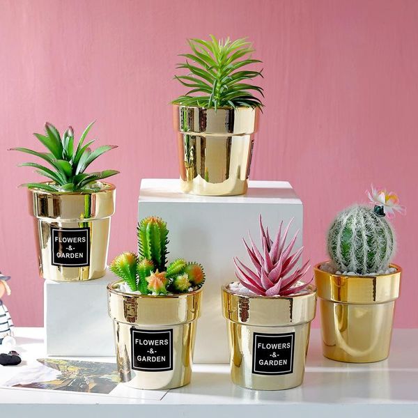 decorative flowers & wreaths gold-plated ceramic simulation cactus potted plant home living room deskbonsai artificial plants decoration
decorative flowers & wreaths gold-plated ceramic simulation cactus potted plant home living room deskbonsai artificial plants decoration