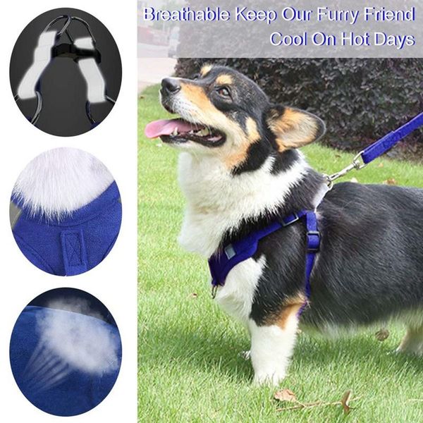 dog collars & leashes harness with leash pet adjustable breathable vest puppy reflective chest for medium and large dogs
dog collars & leashes harness with leash pet adjustable breathable vest puppy reflective chest for medium and large dogs