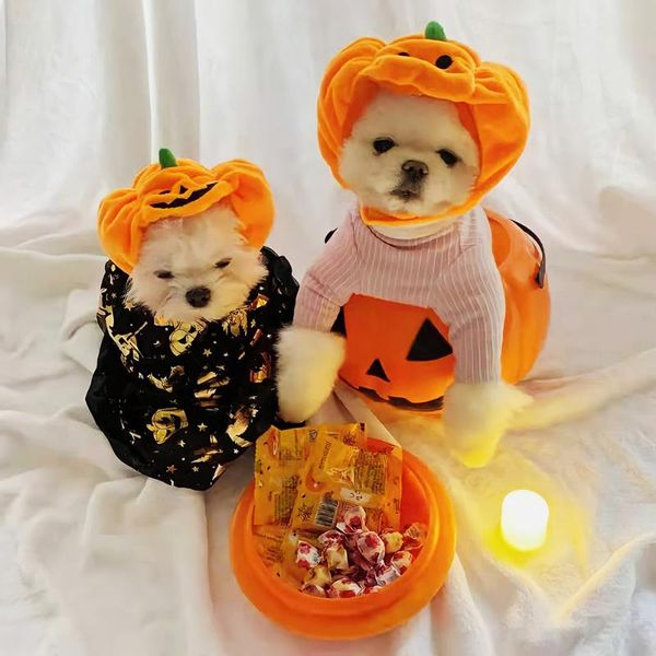 cat costumes pet pumpkin headdress hats soft halloween adjustable plush hook cosplay costume small cap hat accessory
cat costumes pet pumpkin headdress hats soft halloween adjustable plush hook cosplay costume small cap hat accessory