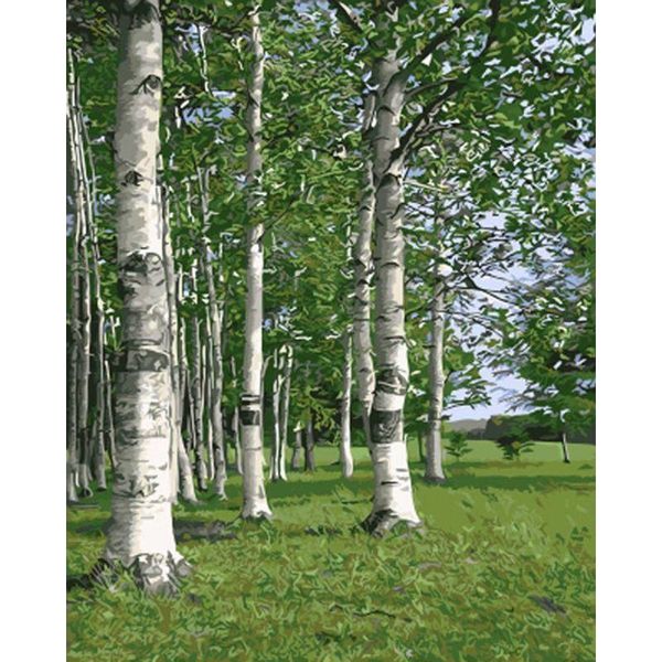 paintings selilali framed oil painting by numbers quiet forest green tree landscape picture kits hand painted acrylic paint draw canvas
paintings selilali framed oil painting by numbers quiet forest green tree landscape picture kits hand painted acrylic paint draw canvas