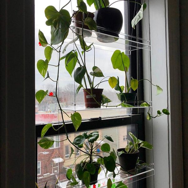 planters & pots window plant shelf hanging shelves stand indoor garden flower nordic home balcony decor
planters & pots window plant shelf hanging shelves stand indoor garden flower nordic home balcony decor