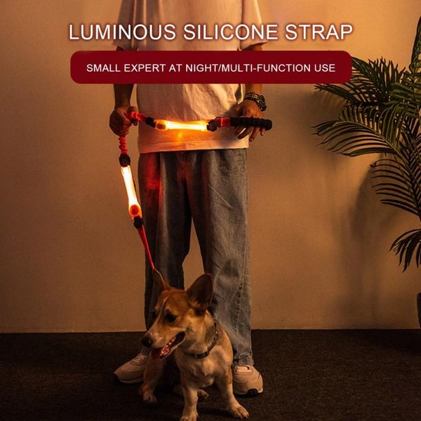 pet led luminous strap for dog multi-functional glowing collar traction rope bandage fixation safety night walking dog supplies
pet led luminous strap for dog multi-functional glowing collar traction rope bandage fixation safety night walking dog supplies