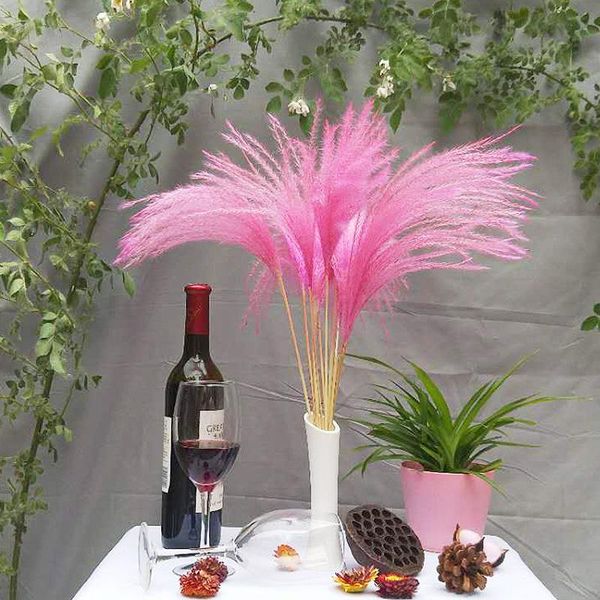 decorative flowers & wreaths 10pcs pampas grass dried wedding decoration natural dry flower bouquet artificial plants home
decorative flowers & wreaths 10pcs pampas grass dried wedding decoration natural dry flower bouquet artificial plants home