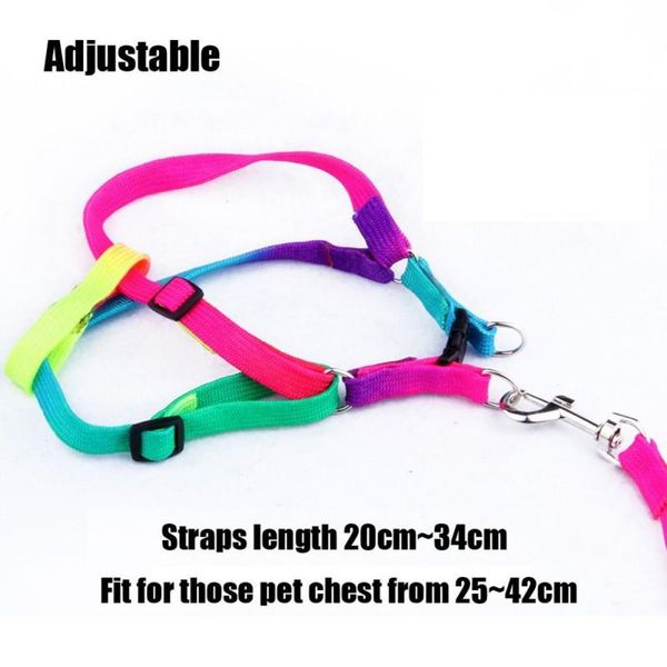 dog collars & leashes strong durable nylon cat harness and leash set adjustable puppy colorful harnesses lead
dog collars & leashes strong durable nylon cat harness and leash set adjustable puppy colorful harnesses lead