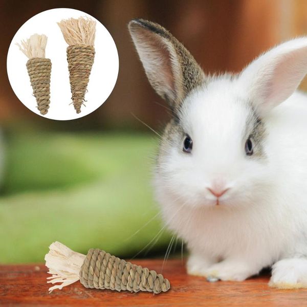 small animal supplies 1 set carrot shape pet funny chew for (light green, beige)
small animal supplies 1 set carrot shape pet funny chew for (light green, beige)