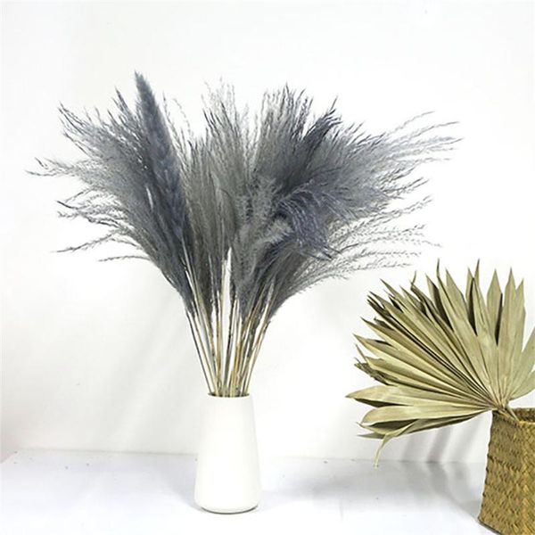 decorative flowers & wreaths bunchp hragmites pampas reed christmas home wedding decoration flower bunch artificial plants homefurnishing dr
decorative flowers & wreaths bunchp hragmites pampas reed christmas home wedding decoration flower bunch artificial plants homefurnishing dr