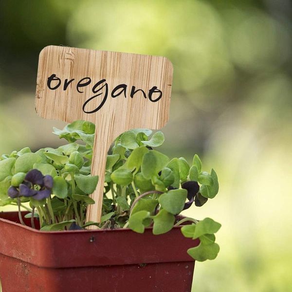 other garden supplies qitai 100pcs 3.7 x 6.5cm plant labels bamboo t-type tags markers nursery pots decoration seedling tray mark tools bl01
other garden supplies qitai 100pcs 3.7 x 6.5cm plant labels bamboo t-type tags markers nursery pots decoration seedling tray mark tools bl01