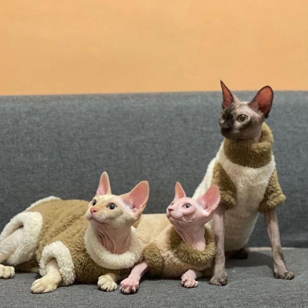 cat costumes hairless clothes winter thick plus velvet warm stretch four-legged belly high collar devins sphinx
cat costumes hairless clothes winter thick plus velvet warm stretch four-legged belly high collar devins sphinx