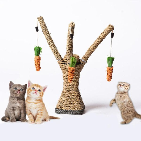 cat toys aapet 1pc pet chew teeth care chewing interactive tree shelves climbing frame scratching false
cat toys aapet 1pc pet chew teeth care chewing interactive tree shelves climbing frame scratching false