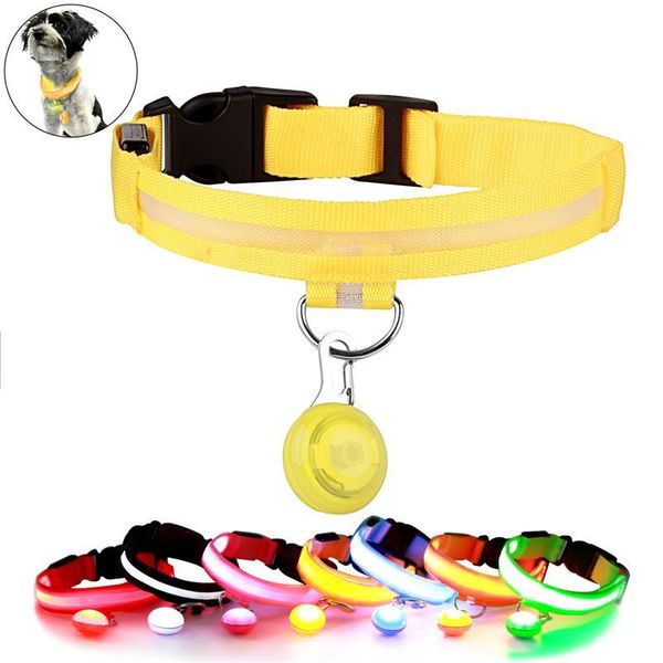 fashion led dog collar light pet collars chain gift for pets night safety flash glow dog leash luminous fluorescent pet supply
fashion led dog collar light pet collars chain gift for pets night safety flash glow dog leash luminous fluorescent pet supply