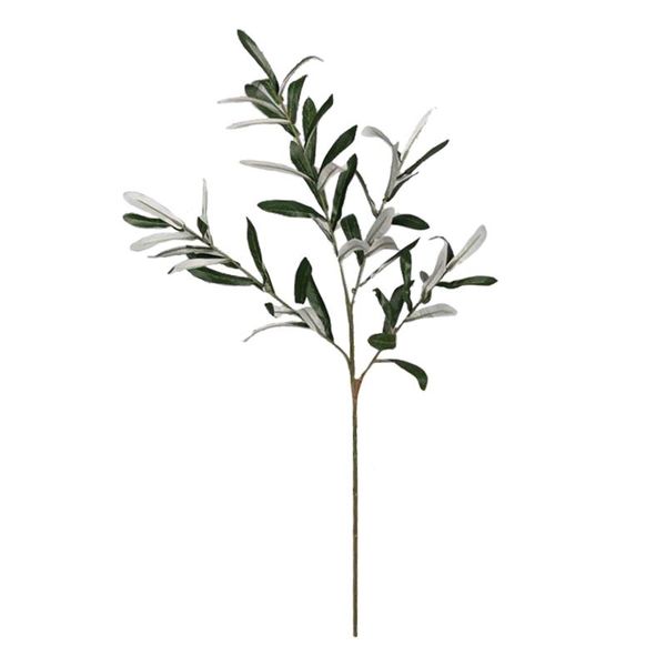 wedding diy decoration flower leaves for home olive leaf single full length 77cm simulation european type silk dried flowers
wedding diy decoration flower leaves for home olive leaf single full length 77cm simulation european type silk dried flowers