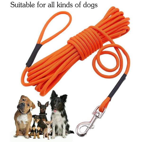 dog collars & leashes 10m leash pet training rope reflective long cat puppy walking with handle for outdoor beach swimming
dog collars & leashes 10m leash pet training rope reflective long cat puppy walking with handle for outdoor beach swimming