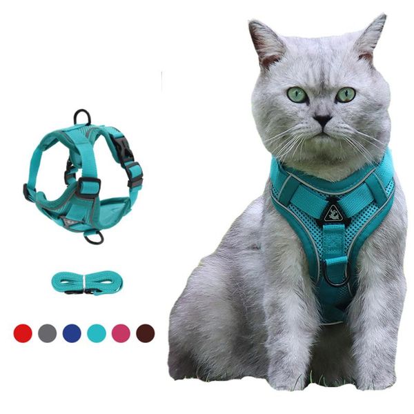 cat collars & leads quick release leash nylon dog harness collar reflective puppy breast band walking lead pet accessories maincoon
cat collars & leads quick release leash nylon dog harness collar reflective puppy breast band walking lead pet accessories maincoon