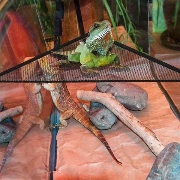 cat beds & furniture 2pcs/set pet hammock mesh sleeping bed play toys swing for reptile snake lizard climb products with suction cup
cat beds & furniture 2pcs/set pet hammock mesh sleeping bed play toys swing for reptile snake lizard climb products with suction cup
