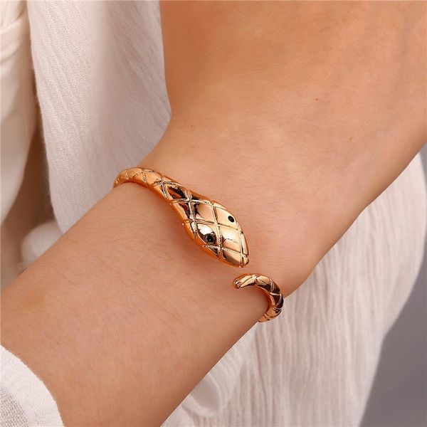 bangle 1pc european punk animal snake open bracelet for women men hyperbole vintage twine adjustable jewelry, Black
bangle 1pc european punk animal snake open bracelet for women men hyperbole vintage twine adjustable jewelry, Black