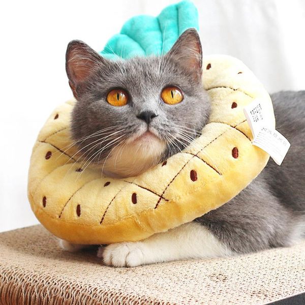 cat collars & leads adjustable recovery collar soft plush elizabethan with movable buckle protective cone after for dogs grsa889
cat collars & leads adjustable recovery collar soft plush elizabethan with movable buckle protective cone after for dogs grsa889