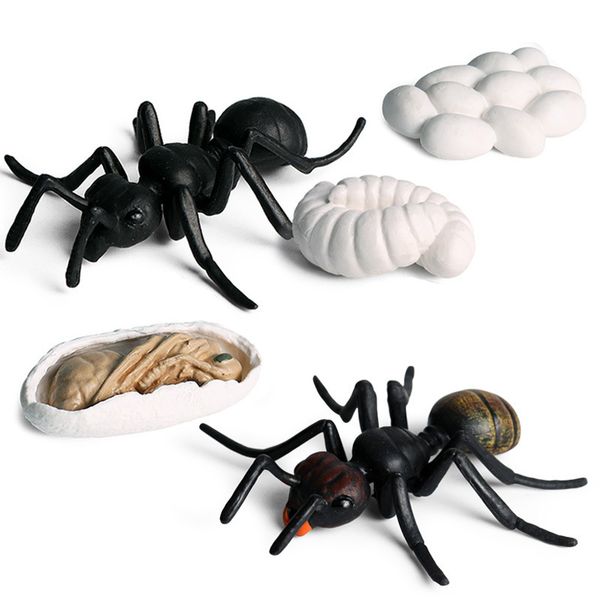 worker ant animals simulation nest growth cycle life action figures figurine miniature baby educational cute model teaching kids c0220
worker ant animals simulation nest growth cycle life action figures figurine miniature baby educational cute model teaching kids c0220