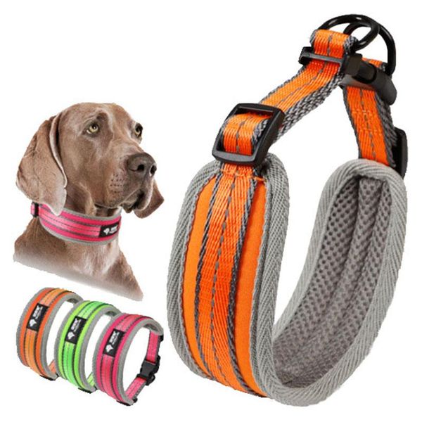 nylon reflective dog collar double layer mesh padded training collar for pet wide width comfortable for small medium large dogs
nylon reflective dog collar double layer mesh padded training collar for pet wide width comfortable for small medium large dogs