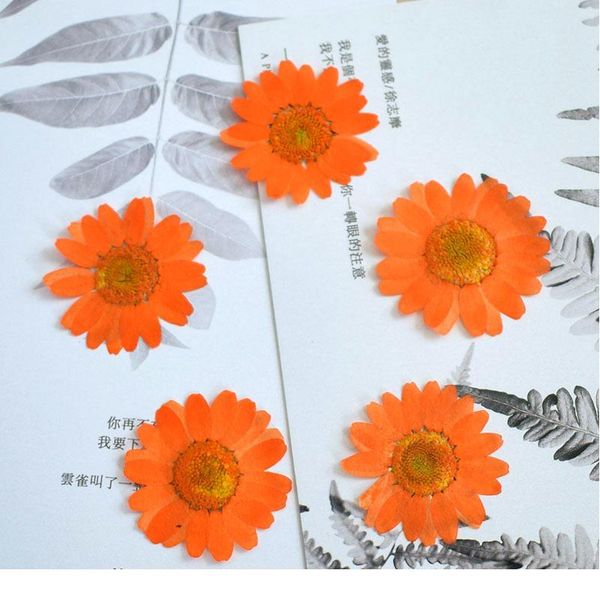 chrysanthemum paludosum real dried flower dry plants for candle epoxy resin pendant necklace jewelry making craft diy a jllpzu
chrysanthemum paludosum real dried flower dry plants for candle epoxy resin pendant necklace jewelry making craft diy a jllpzu