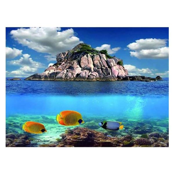 decorations 9045 23.3" x 60" double sided aquarium decoration picture poster waterscape / three fishes fish tank background
decorations 9045 23.3" x 60" double sided aquarium decoration picture poster waterscape / three fishes fish tank background