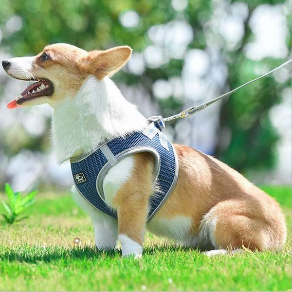 dog apparel pet leashes reflective breathable chest straps vest-style leash supplies
dog apparel pet leashes reflective breathable chest straps vest-style leash supplies