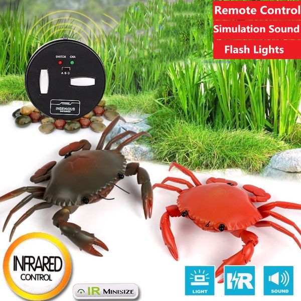 kid friend rc crab robot eye can flash light with simulation crab sound remote control annimal toy walking running toy
kid friend rc crab robot eye can flash light with simulation crab sound remote control annimal toy walking running toy