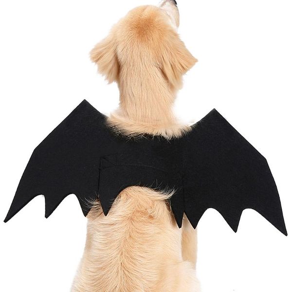 cat costumes animal pet dog bats wing halloween fancy dress costume outfit felt cloth black he
cat costumes animal pet dog bats wing halloween fancy dress costume outfit felt cloth black he