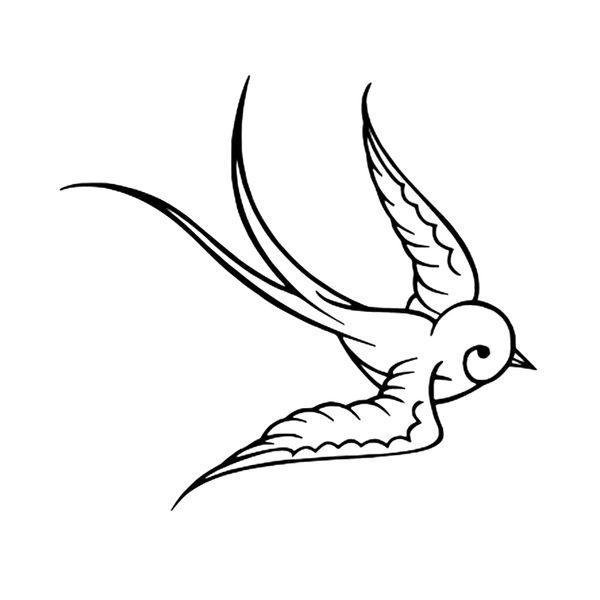 16*14.6cm dove bird decal sticker swallow motorcycle suvs bumper car window lapcar stylings
16*14.6cm dove bird decal sticker swallow motorcycle suvs bumper car window lapcar stylings