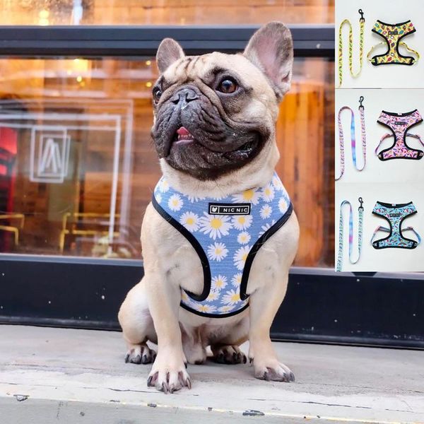 dog collars & leashes summer harness cute frenchie reversible leash set chihuahua pug puppy breathable vest walking lead 2pcs
dog collars & leashes summer harness cute frenchie reversible leash set chihuahua pug puppy breathable vest walking lead 2pcs