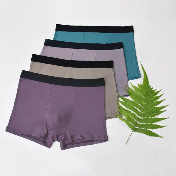 mens underwear boxers trunk coton innerwear underwears underware lighter underpants male pure men panties cotton solid shorts, Black;white
mens underwear boxers trunk coton innerwear underwears underware lighter underpants male pure men panties cotton solid shorts, Black;white