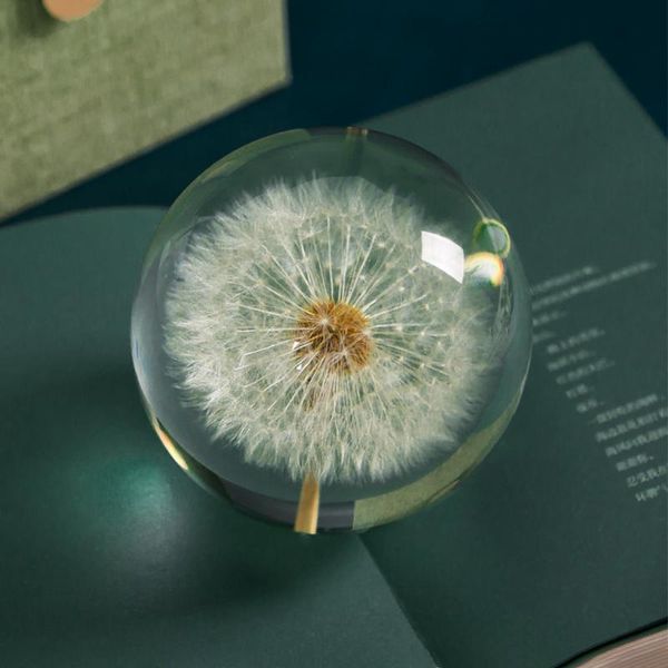 real dandelion crystal glass resin lens ball 80mm natural plants specimen feng shui flowers christmas love gift home decor globe
real dandelion crystal glass resin lens ball 80mm natural plants specimen feng shui flowers christmas love gift home decor globe