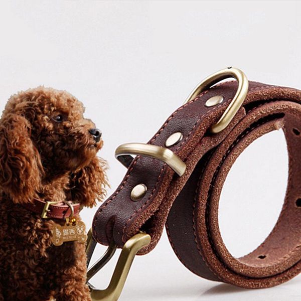 adjustable pu leather pet dog collar for puppy cat chihuahua small dog neck strap buckle collar
