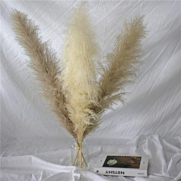 decorative flowers & wreaths 80cm/pc pampas grass dried natural phragmites decor home wedding christmas big reed plants flower bouquet
decorative flowers & wreaths 80cm/pc pampas grass dried natural phragmites decor home wedding christmas big reed plants flower bouquet