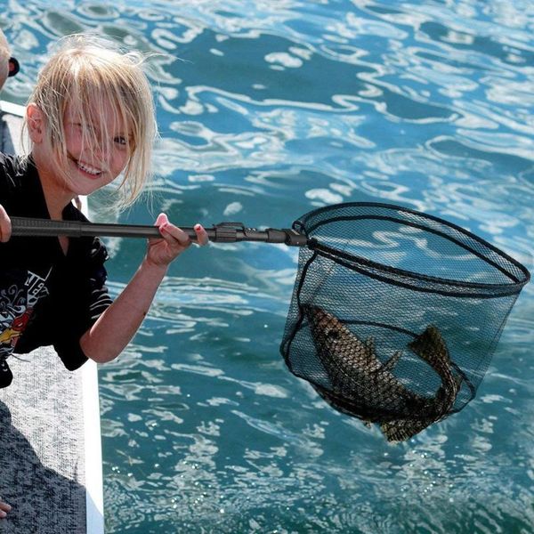 portable 80cm retractable fishing net telescoping foldable landing net pole folding landing for fishing
portable 80cm retractable fishing net telescoping foldable landing net pole folding landing for fishing