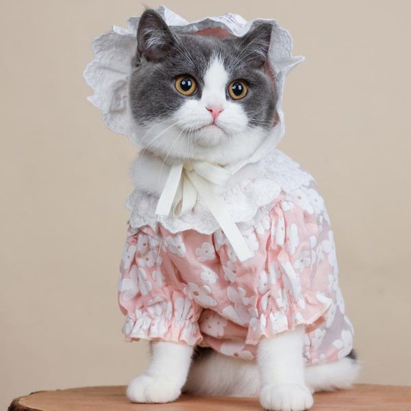 cat costumes thin print lace dress clothes accessories hairless spring and summer small dog
cat costumes thin print lace dress clothes accessories hairless spring and summer small dog