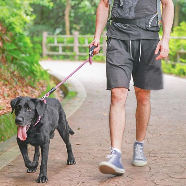 pet dog nylon leash rope pet training lead dog running walk training strap rope reflective.leash products
pet dog nylon leash rope pet training lead dog running walk training strap rope reflective.leash products