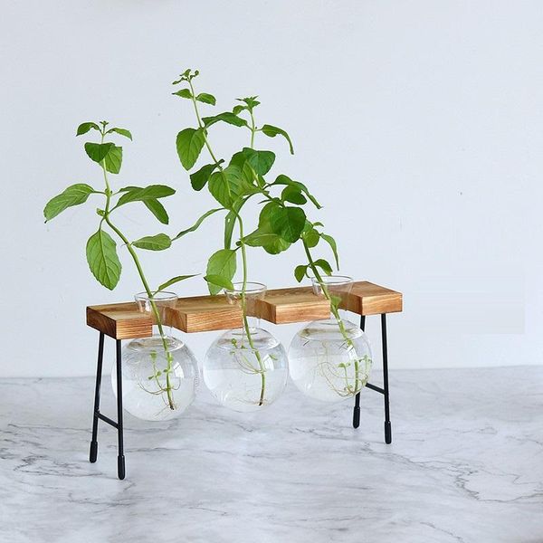 vases glass vase hydroponic plant wooden frame coffee shop decor terrarium plants home bonsai decoration propagation station
vases glass vase hydroponic plant wooden frame coffee shop decor terrarium plants home bonsai decoration propagation station